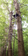 Засидка складная на дерево с лестницей Canadian Camper CC TS-622